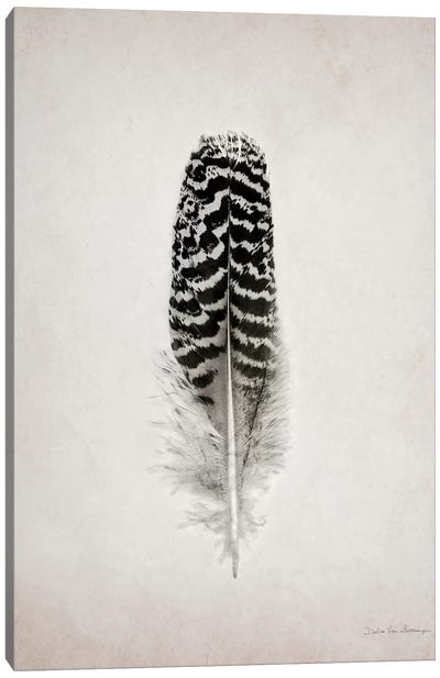Feather I Canvas Art Print - Large Black & White Art