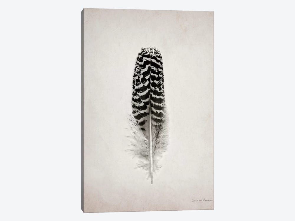Feather I by Debra Van Swearingen 1-piece Canvas Art Print