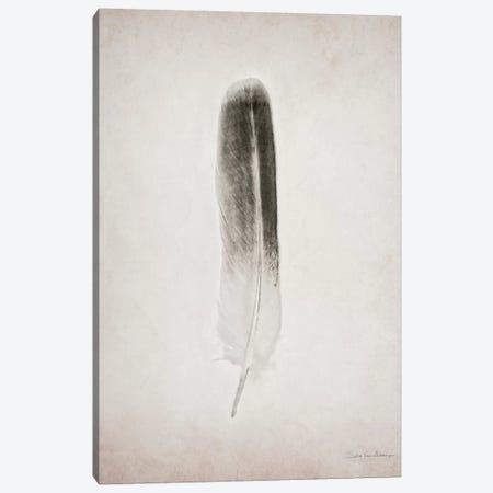 Feather II Canvas Print #WAC4033} by Debra Van Swearingen Canvas Art