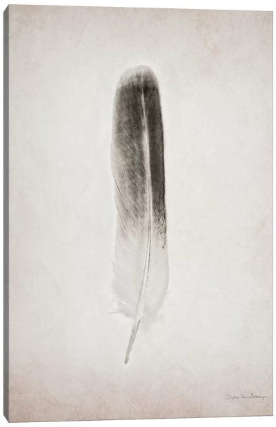 Feather II Canvas Art Print - Feather Art