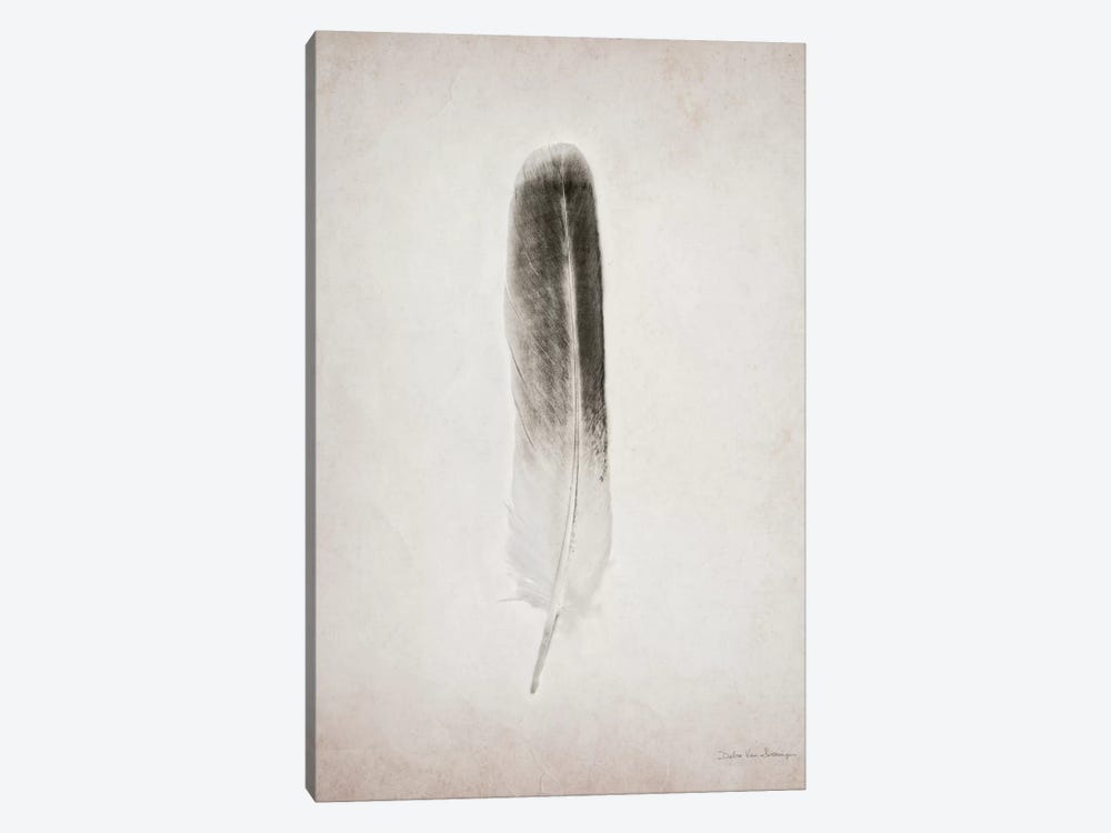 Feather II by Debra Van Swearingen 1-piece Canvas Artwork