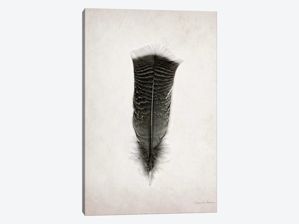 Feather III by Debra Van Swearingen 1-piece Canvas Art Print