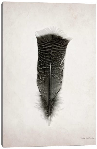 Feather III Canvas Art Print - Black & White Minimalist Décor
