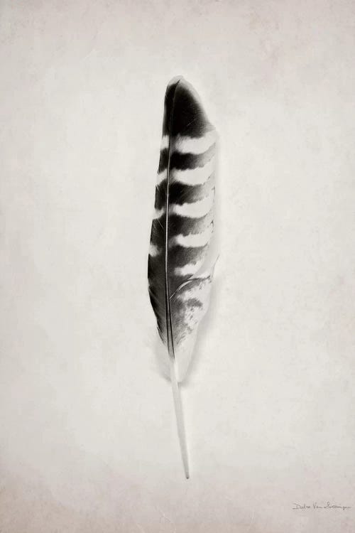 Feather IV