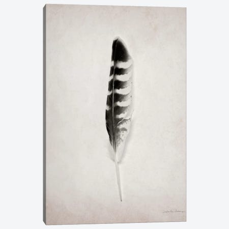 Feather IV Canvas Print #WAC4035} by Debra Van Swearingen Canvas Print