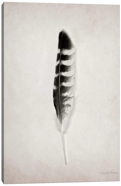 Feather IV Canvas Art Print - Debra Van Swearingen