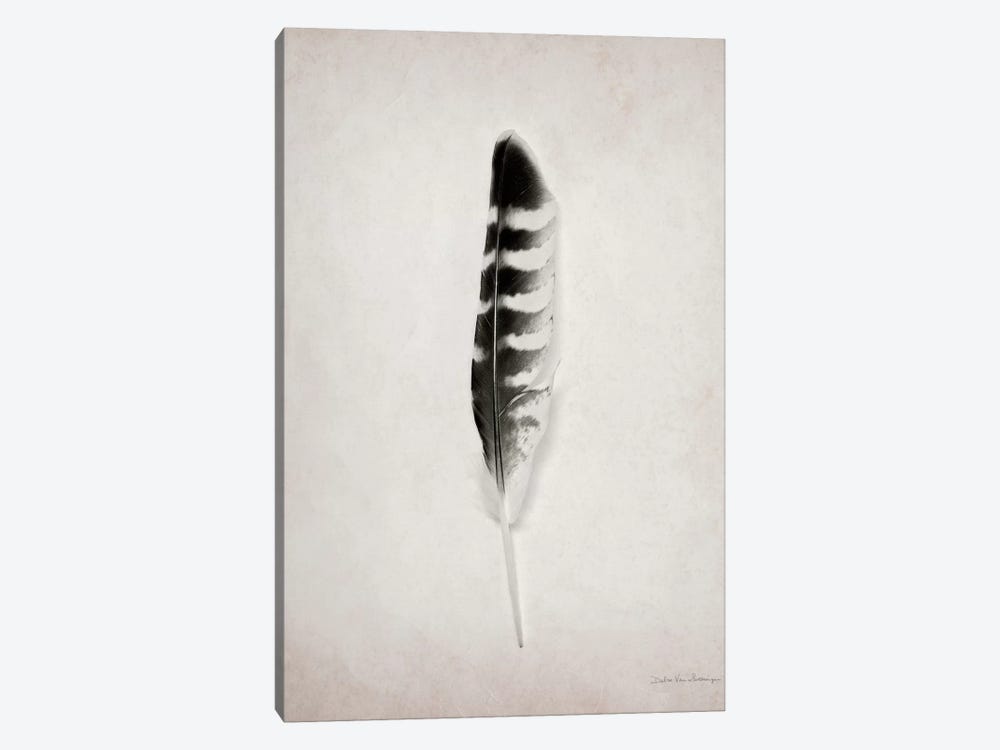 Feather IV by Debra Van Swearingen 1-piece Canvas Artwork