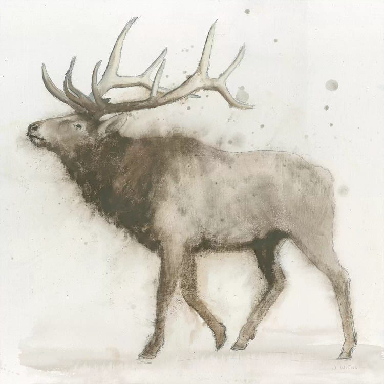 Elk