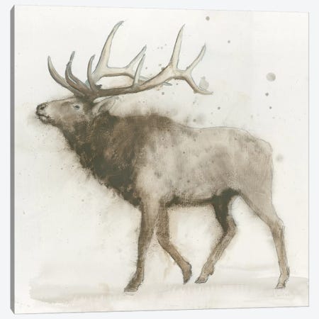 Elk Canvas Print #WAC4037} by James Wiens Canvas Art Print