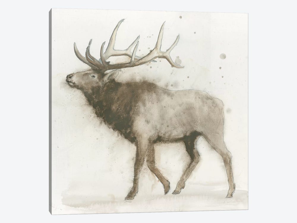 Elk by James Wiens 1-piece Canvas Art