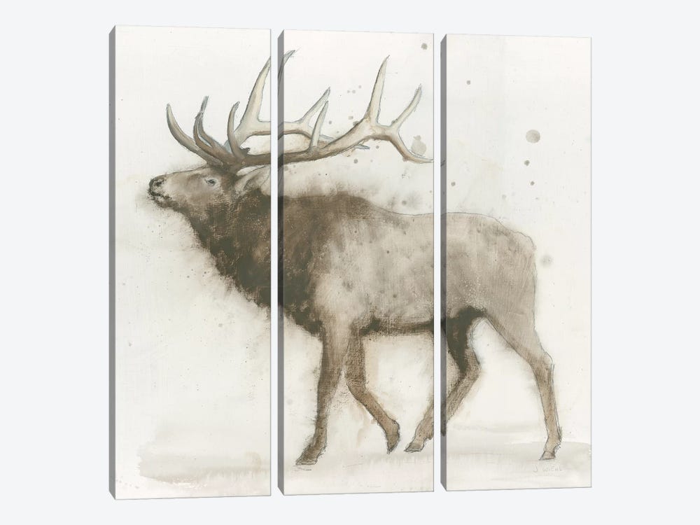 Elk by James Wiens 3-piece Canvas Artwork