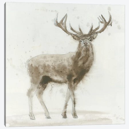 Stag V.2 Canvas Print #WAC4038} by James Wiens Canvas Art