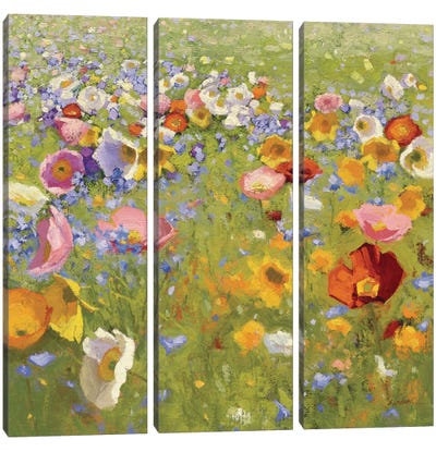 Champ De Fleur I Canvas Art Print - 3-Piece Floral & Botanical Art