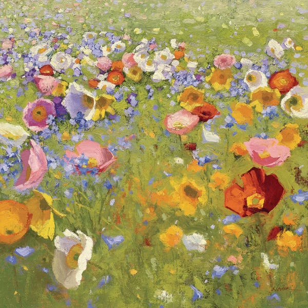 Poppies: Champ De Fleur I by Shirley Novak