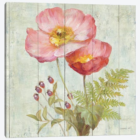 Natural Floral IV Canvas Print #WAC4054} by Danhui Nai Canvas Art Print