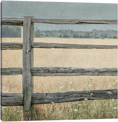 Neutral Country I Crop Canvas Art Print - Country