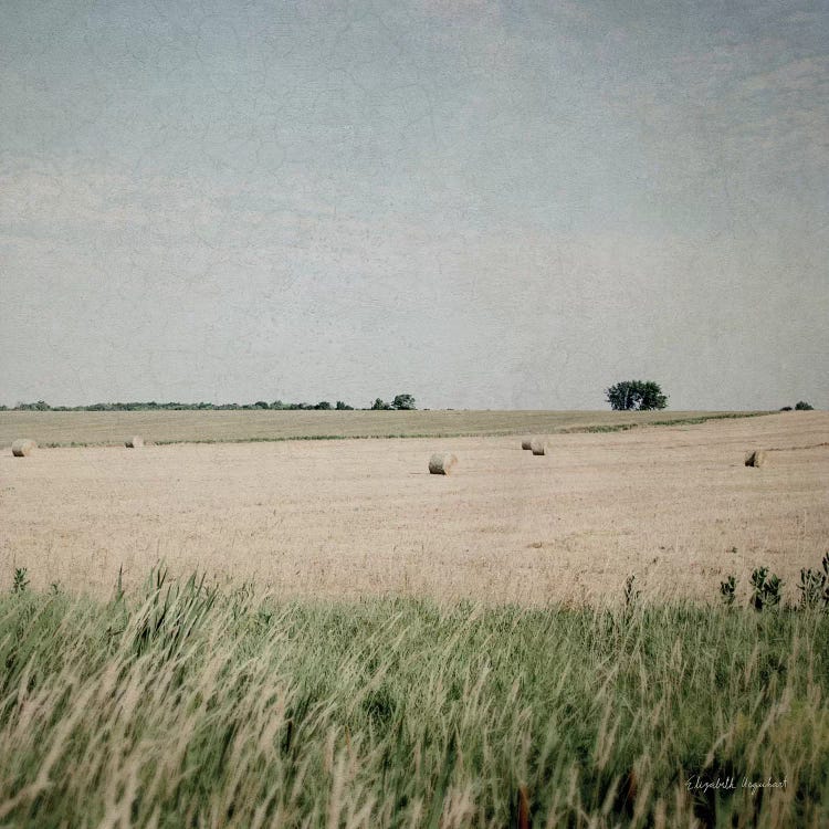 Neutral Country II Crop