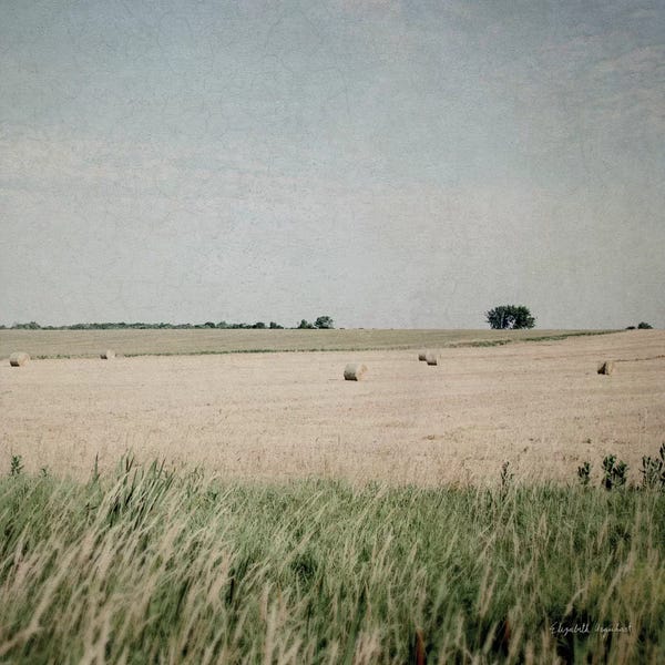 Photography: Neutral Country II Crop by Elizabeth Urquhart