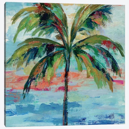 California Palm I Canvas Print #WAC4067} by Silvia Vassileva Canvas Wall Art