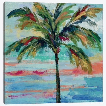 California Palm II Canvas Print #WAC4068} by Silvia Vassileva Canvas Print