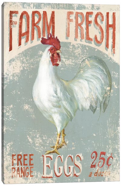 Farm Nostalgia III Canvas Art Print - Chicken & Rooster Art