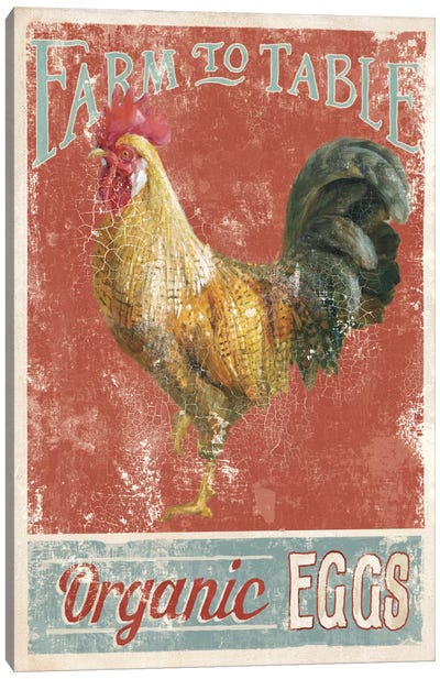 Farm Nostalgia V Canvas Art Print - Chicken & Rooster Art