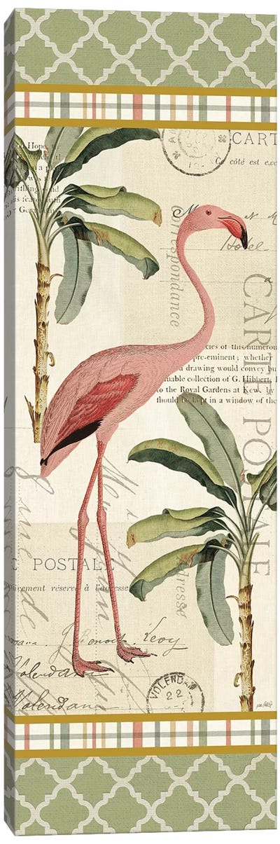 Floridian V Canvas Art Print - Flamingo Art