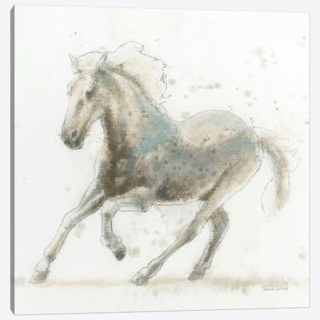 Stallion II Canvas Print #WAC4214} by James Wiens Canvas Art Print
