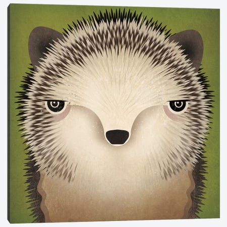 Baby Hedgehog Canvas Print #WAC4232} by Ryan Fowler Canvas Artwork