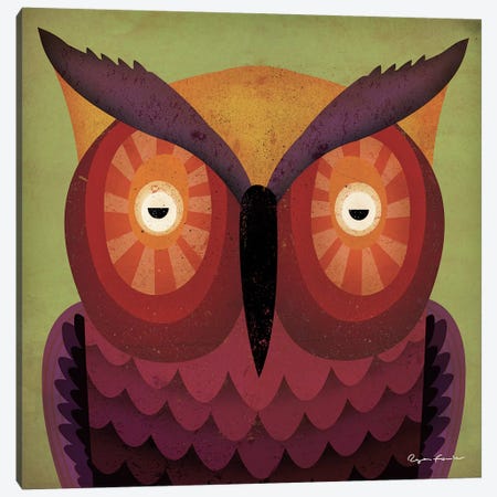 Owl WOW Canvas Print #WAC4254} by Ryan Fowler Art Print
