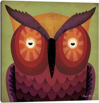 Owl WOW Canvas Art Print - Pomegranate and Jade