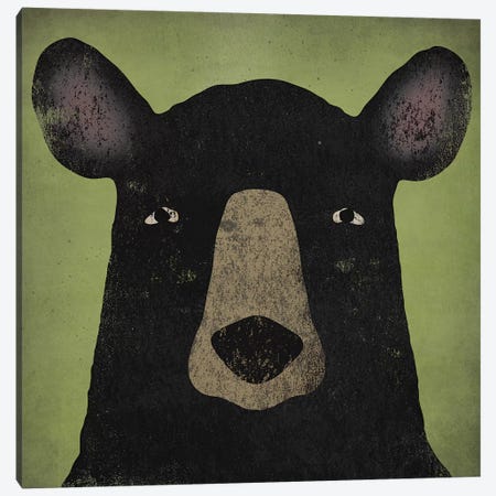 Black Bear Canvas Print #WAC4260} by Ryan Fowler Canvas Print