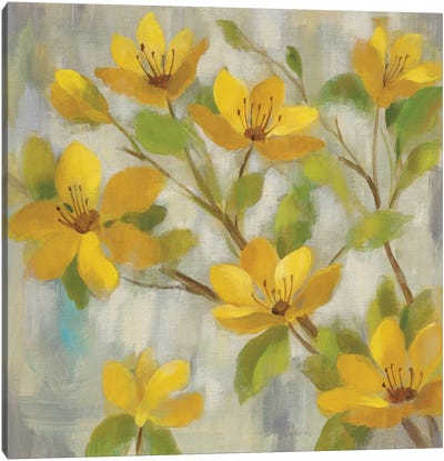Golden Bloom I Canvas Art Print - 3-Piece Floral & Botanical Art