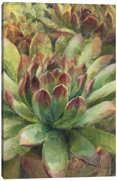 Nature Delight III Canvas Art Print - Plant Art