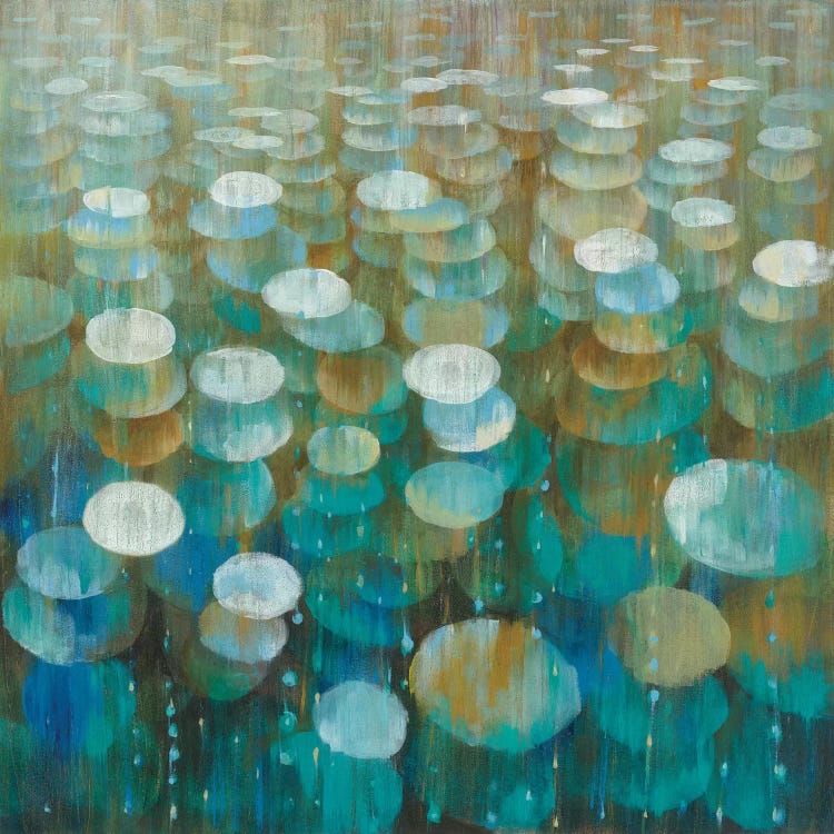 Rain Drops by Danhui Nai canvas print