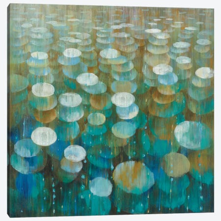 Rain Drops Canvas Print #WAC4351} by Danhui Nai Art Print