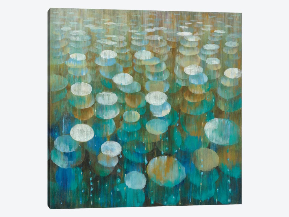 Rain Drops by Danhui Nai 1-piece Canvas Art