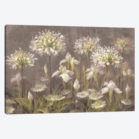 Spring Blossoms Canvas Print #WAC4352} by Danhui Nai Canvas Art Print
