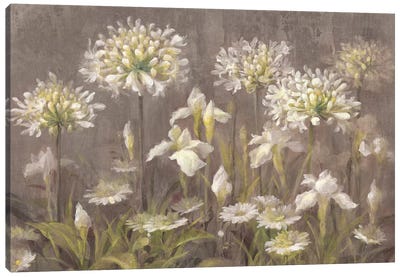 Spring Blossoms Canvas Art Print