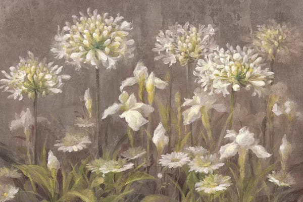 Danhui Nai: Spring Blossoms by Danhui Nai