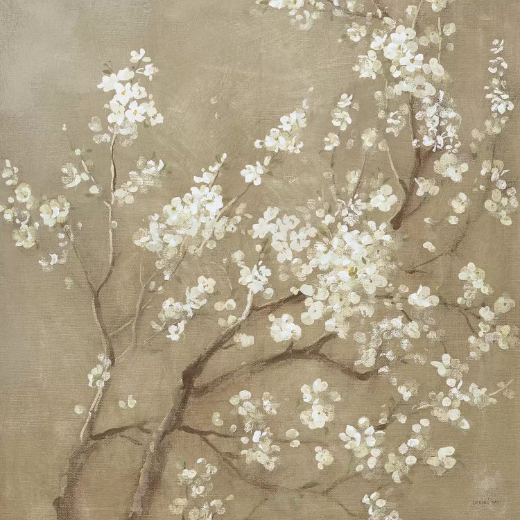 White Cherry Blossoms I by Danhui Nai wall art