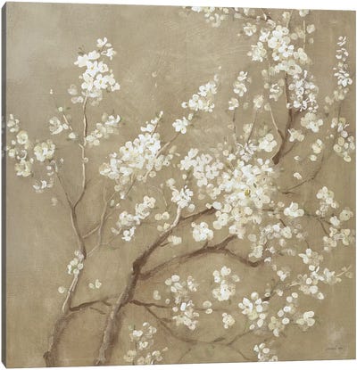 White Cherry Blossoms I Canvas Art Print - Tan Art