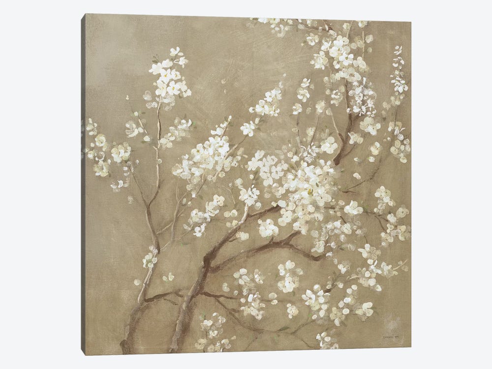 White Cherry Blossoms I by Danhui Nai 1-piece Canvas Wall Art