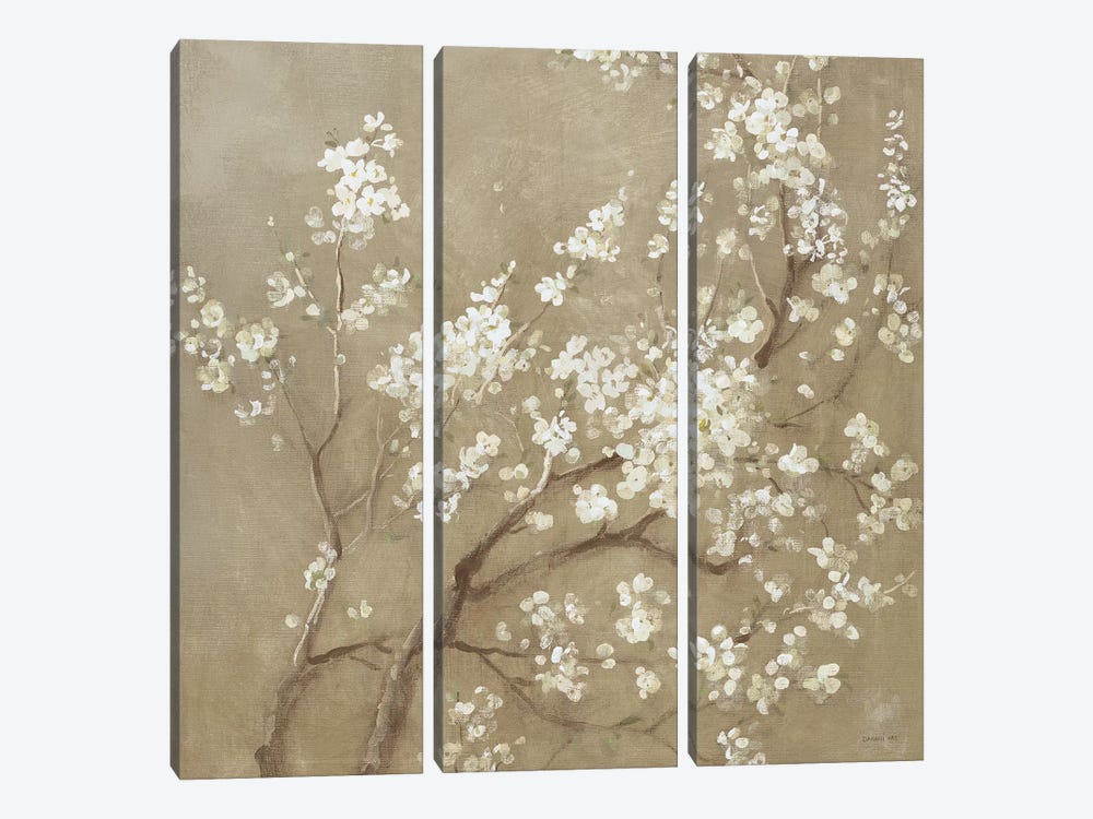 White Cherry Blossoms I by Danhui Nai 3-piece Canvas Wall Art