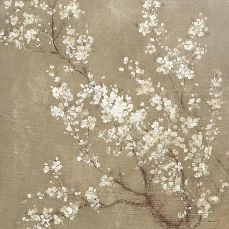 White Cherry Blossoms II