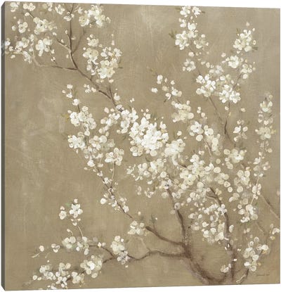 White Cherry Blossoms II Canvas Art Print - Neutral Suede