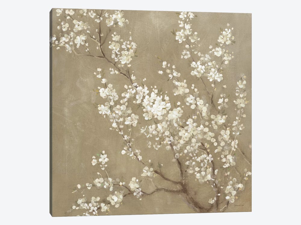 White Cherry Blossoms II by Danhui Nai 1-piece Canvas Art Print