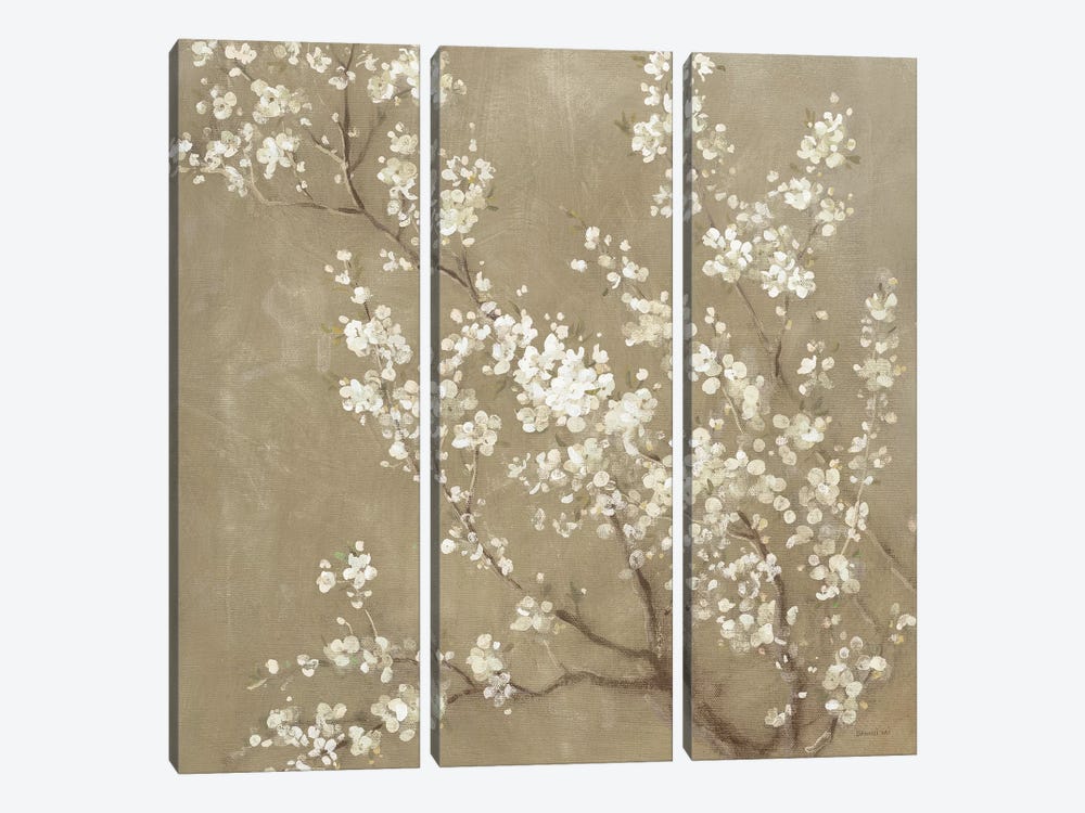 White Cherry Blossoms II by Danhui Nai 3-piece Art Print