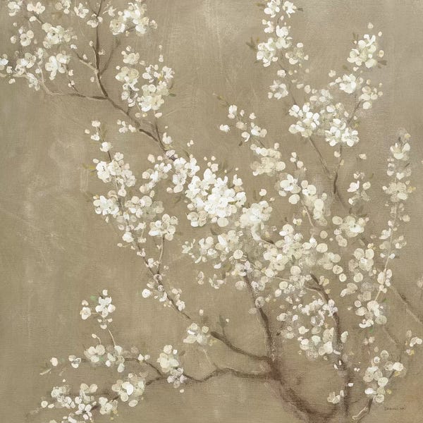 Cherry Trees: White Cherry Blossoms II by Danhui Nai
