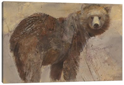 Backward Glance Canvas Art Print - Bear Art